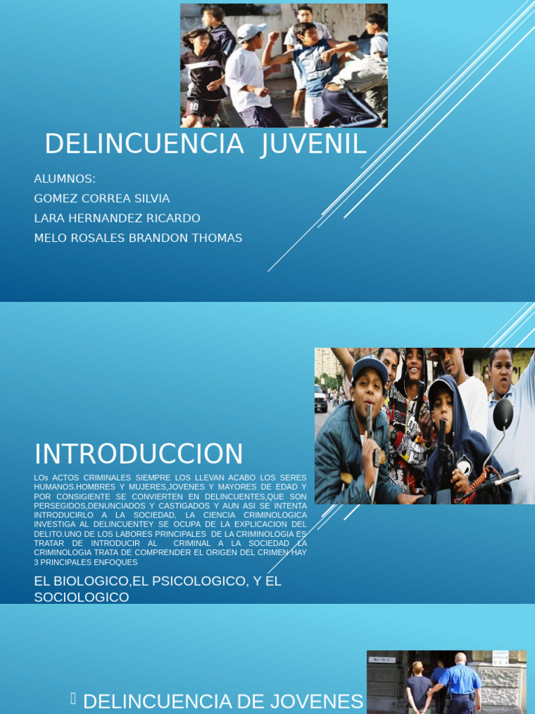 Causas y Prevención de la Delincuencia Juvenil | PDF