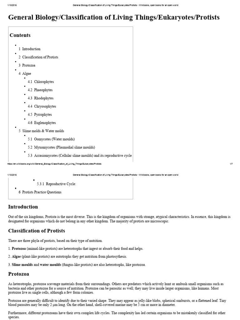 Classification of Protists in Biology | PDF | Algae | Protozoa