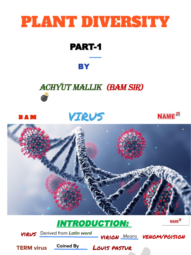 Understanding Virus Diversity and Characteristics | PDF | Virus | Dna