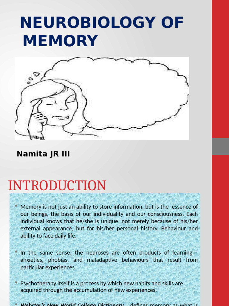 neurobiology-of-memory-explained-pdf-long-term-potentiation