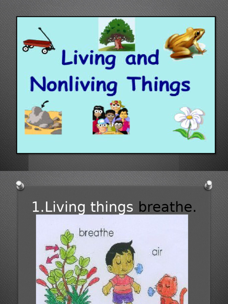 Characteristics of Living Things | PDF