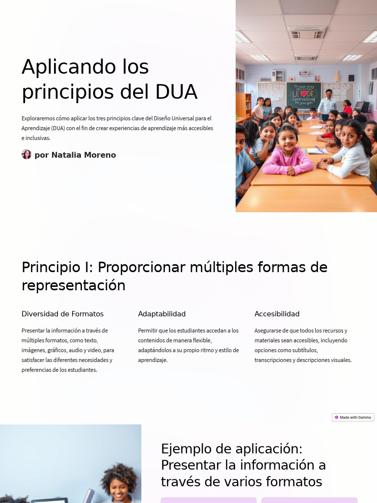 Aplicando Los Principios Del DUA | PDF | Aprendizaje | Inclusión ...