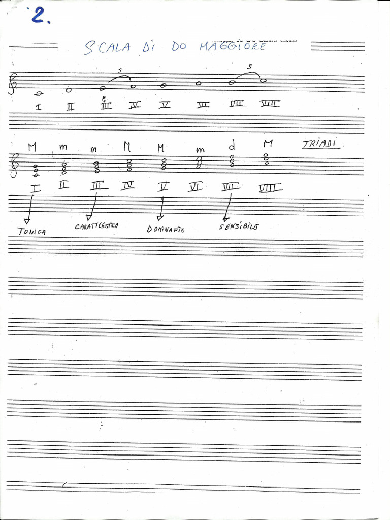 T 2 | PDF