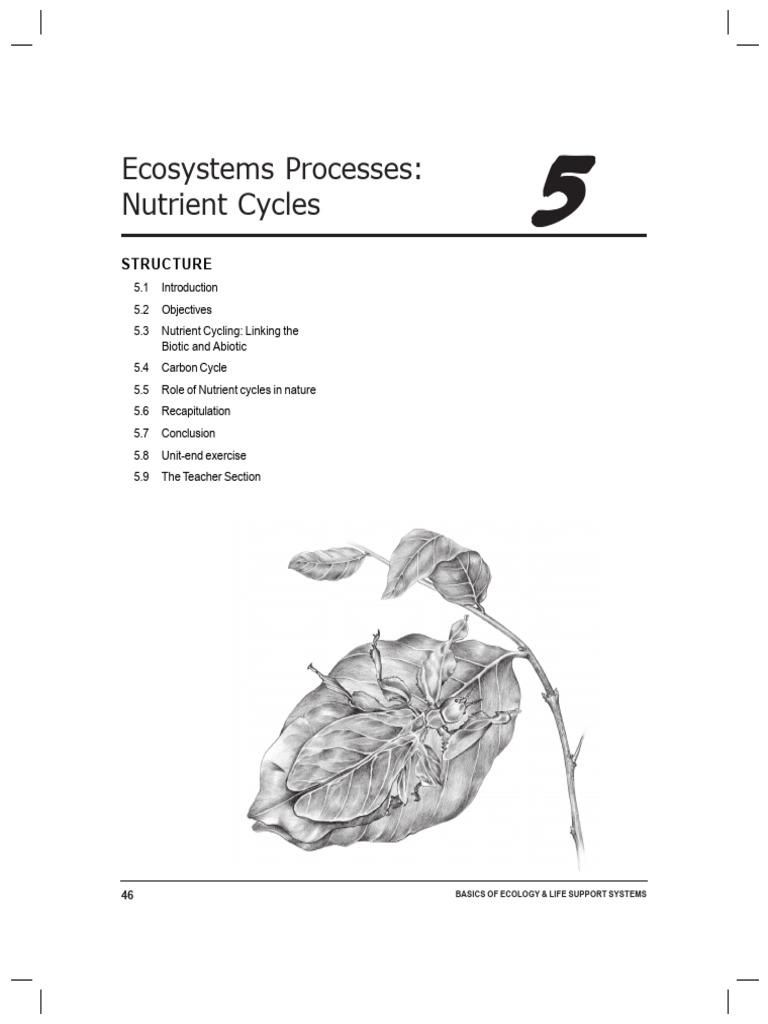 Nutrient Cycling in Ecosystems Explained | PDF | Ecosystem | Soil