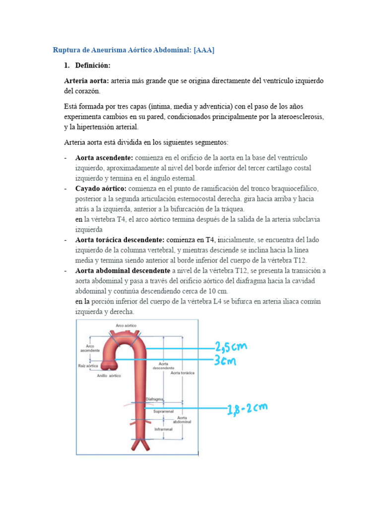 Aneurisma Aórtico Abdominal: Definición y Riesgos | PDF | Aorta ...