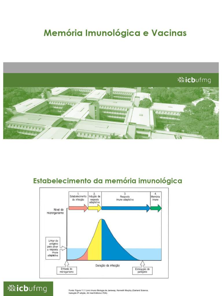 Memória Imunológica e Vacinas | PDF | Vírus | Vacinas