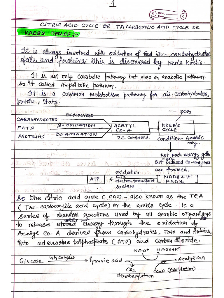 Chemistry Note's 1 2 | PDF