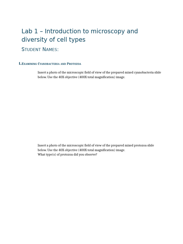 Microscopy & Cell Diversity Lab Guide | PDF