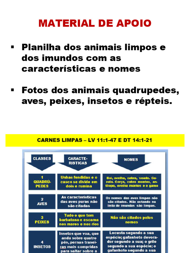 Lista de Animais Limpos e Imundos com Fotos | PDF | Zoologia | Biologia