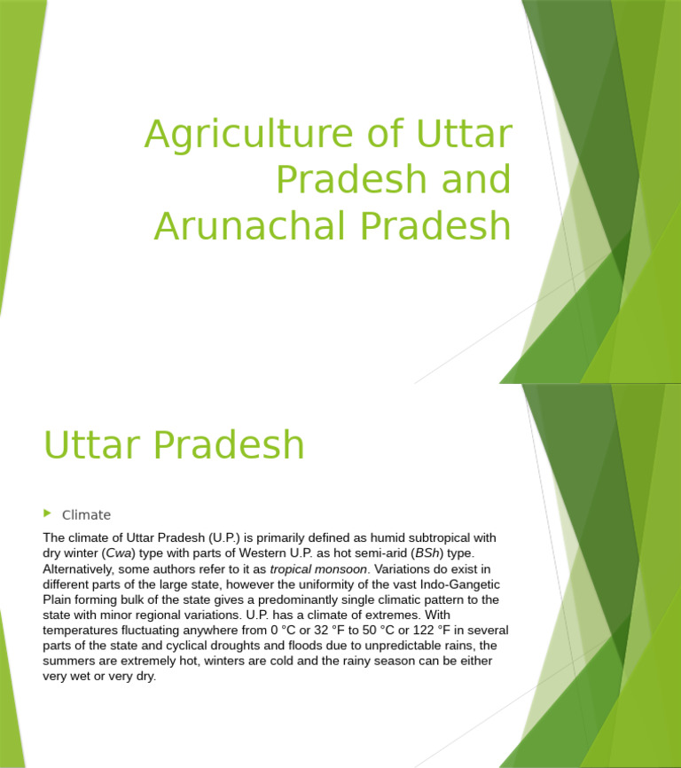 Agriculture of Uttar Pradesh and Arunachal Pradesh-1 | PDF