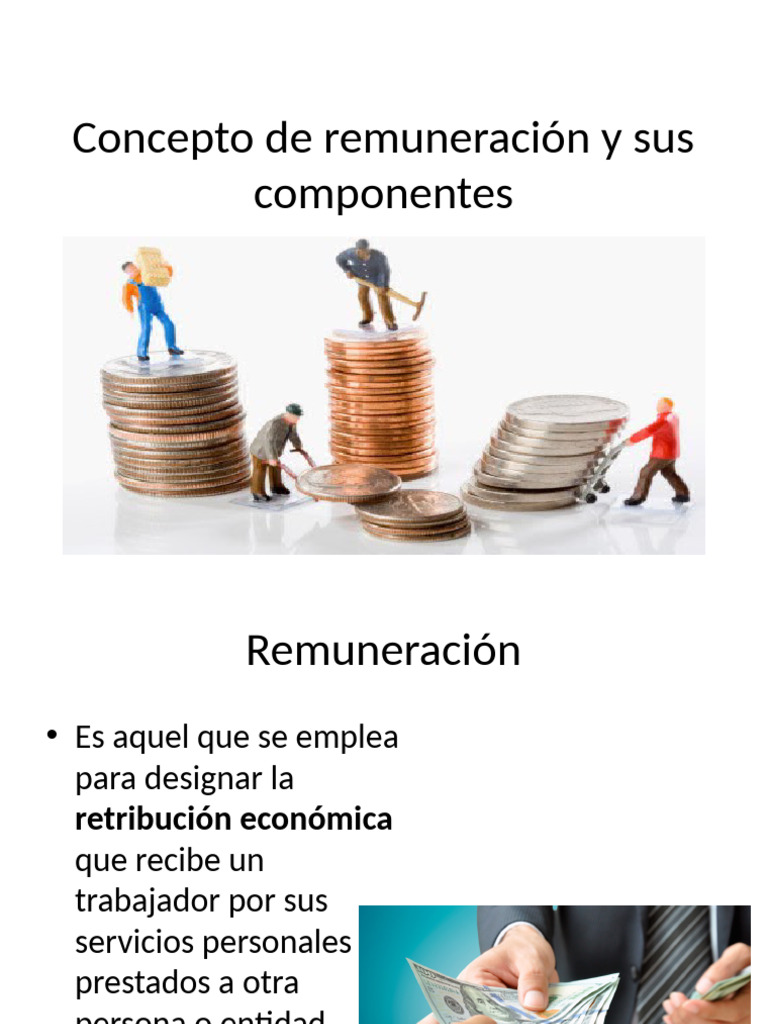 3.2 Concepto de Remuneración y Sus Componentes | PDF | Salario ...