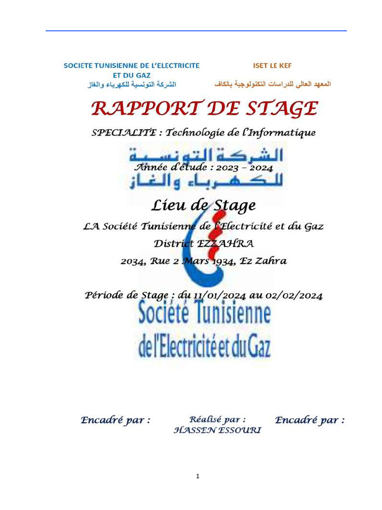 Rapport de stage à la STEG : Présentation et Activités | PDF | Budget