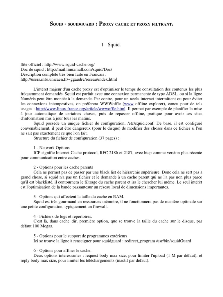 Squid | PDF