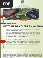 Manual de Prevencao EControlo Da Colera EDe Outras Doencas Diarreicas ...