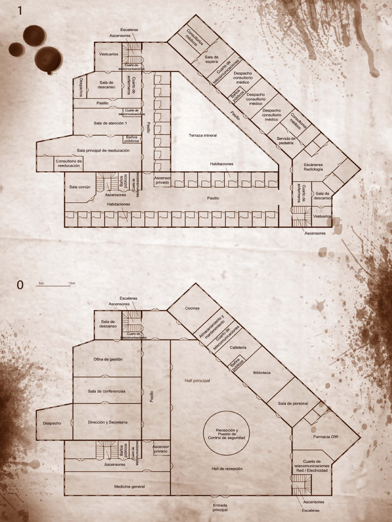 Rol ZCO ES Su Ave Map Apocalipsis Clinico | PDF