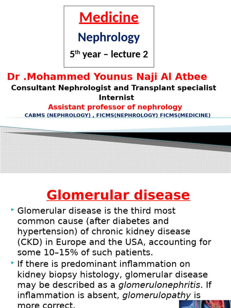Lecture 2 Glomerular Disease | PDF | Nephrology | Medical Specialties