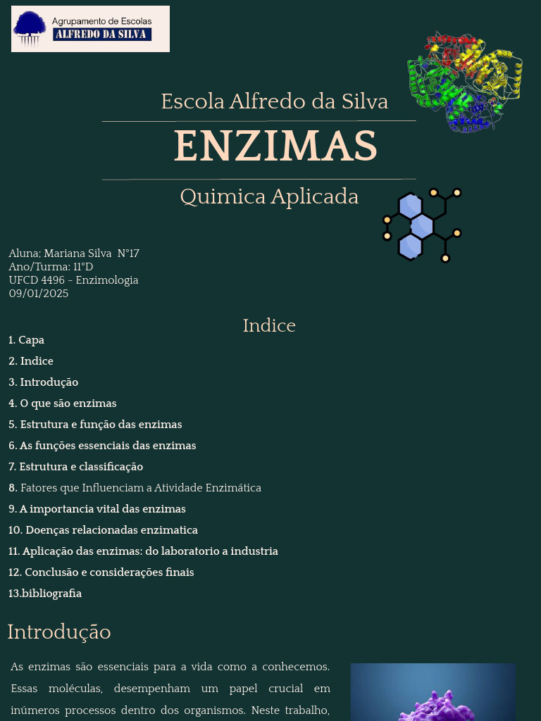 Resumo metabolismo e catabolismo: atuação dos lipídeos e proteínas, image size:768x1024