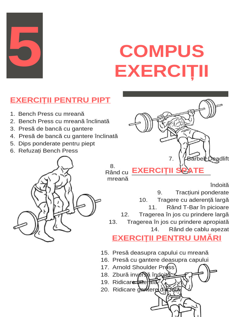 50 Lista de Verificare A Exercițiilor Compuse Exerciții de Izolare | PDF