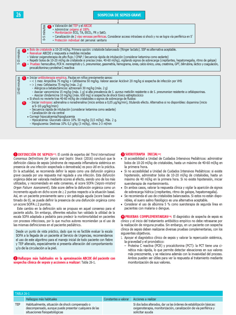 Protocolo de Manejo Inicial de Sepsis Pediátrica | PDF | Septicemia ...