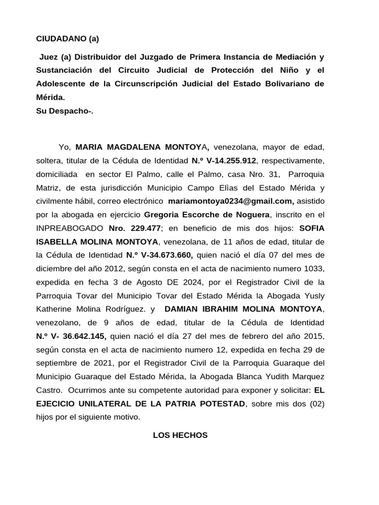 Solicitud de Patria Potestad Unilateral | PDF | Venezuela | Justicia