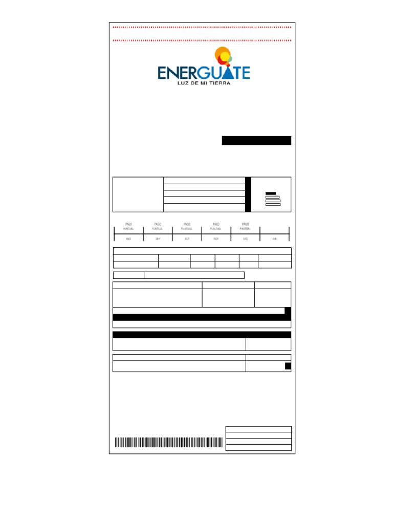 Reimpresión Factura Energía Enero 2025 | PDF