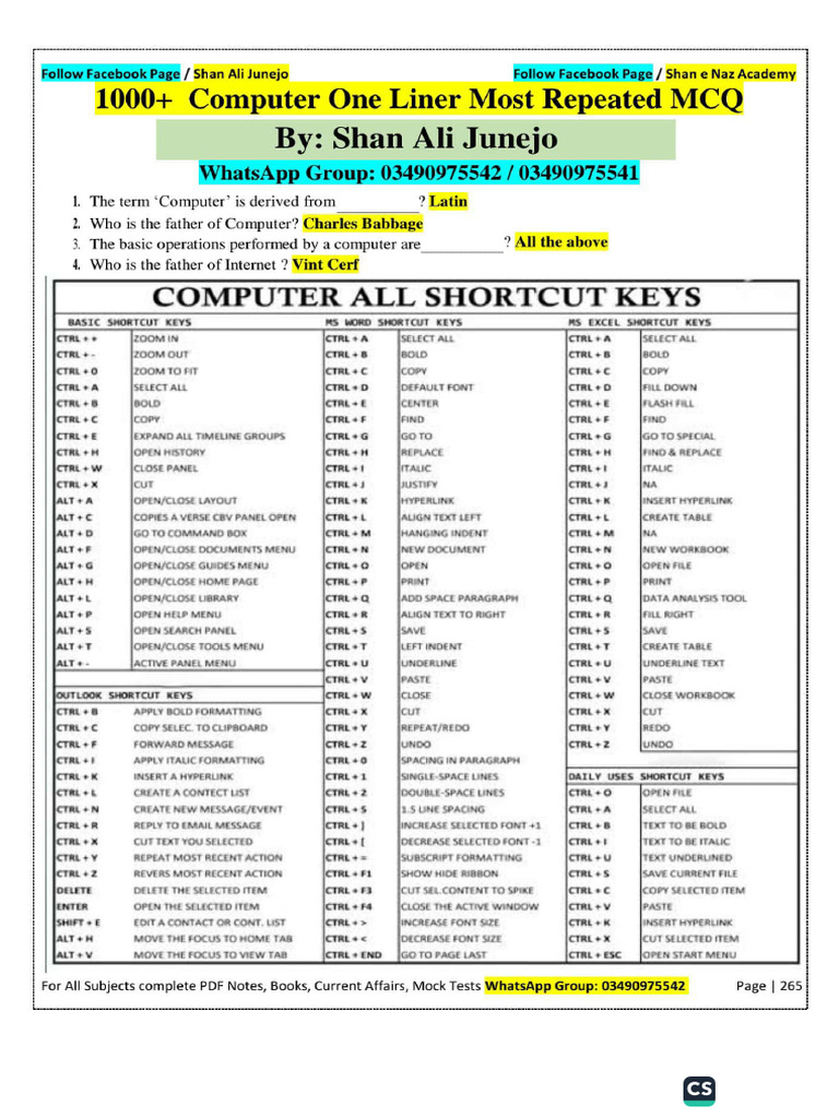 Shan Junejo Computer One Liners | PDF