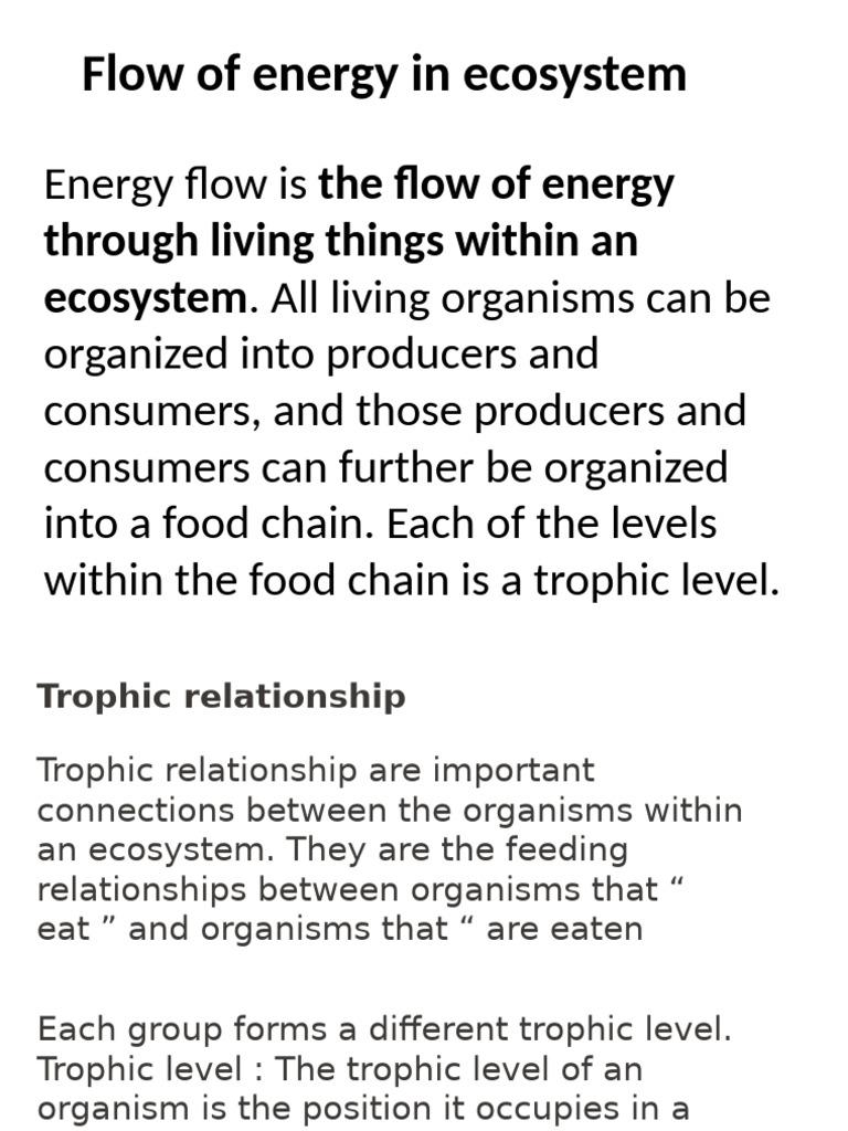 Energy Flow and Trophic Levels in Ecosystems | PDF | Food Web | Foods