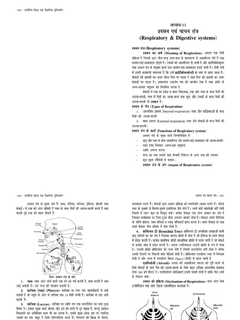 CH 11 Compressed | PDF