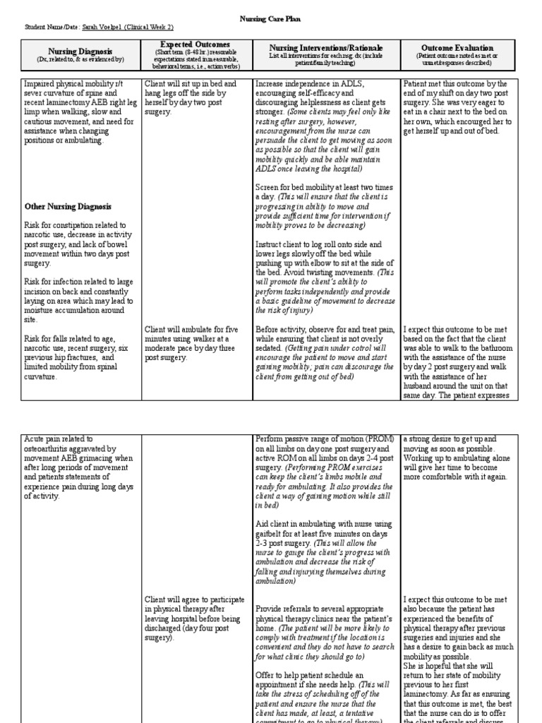 Care plan surgery physical therapy