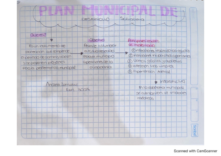 5 Plan Municipal de Desarrollo | PDF