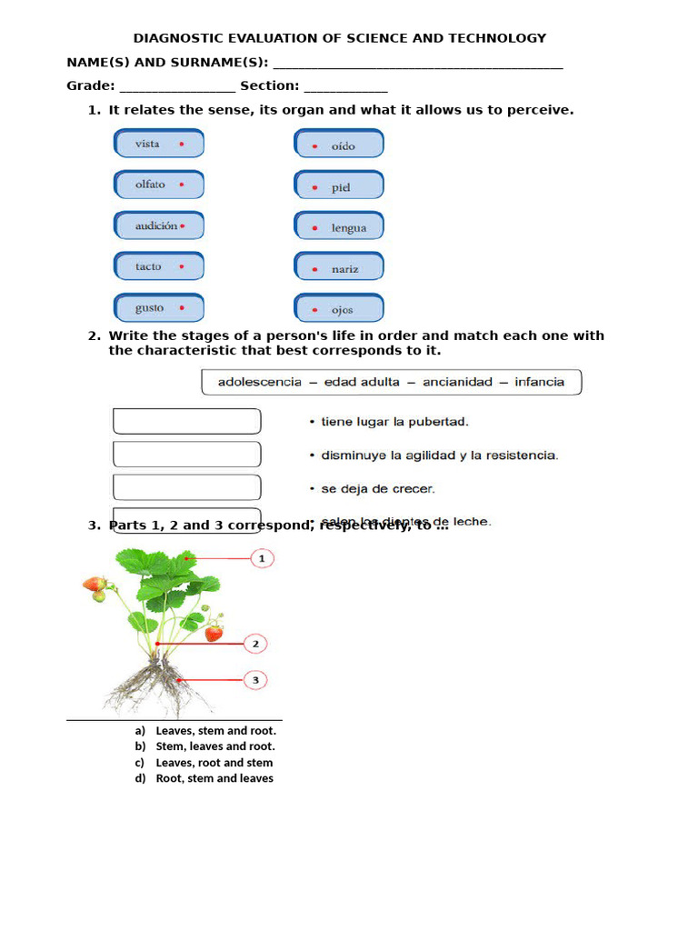 Diagnostic Evaluation of Science and Technology | PDF