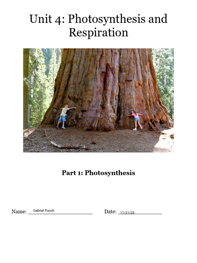 Kami Export - Gabriel Pucha - Photosynthesis Only Unit 4 Notes 2023 ...