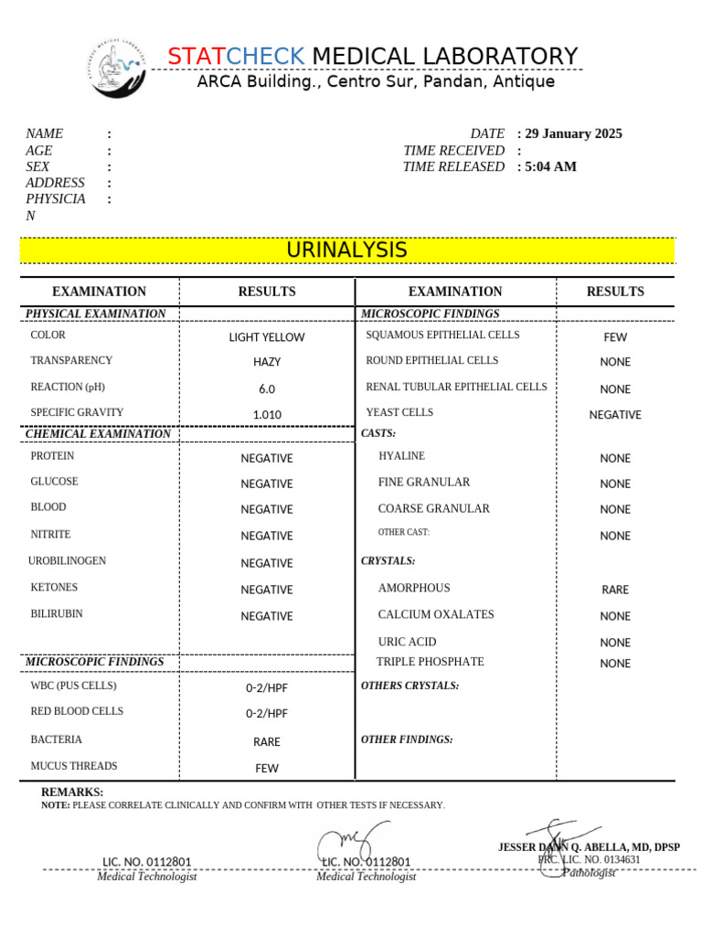 Urinalysis Report Summary: January 2025 | PDF | Medical Specialties ...