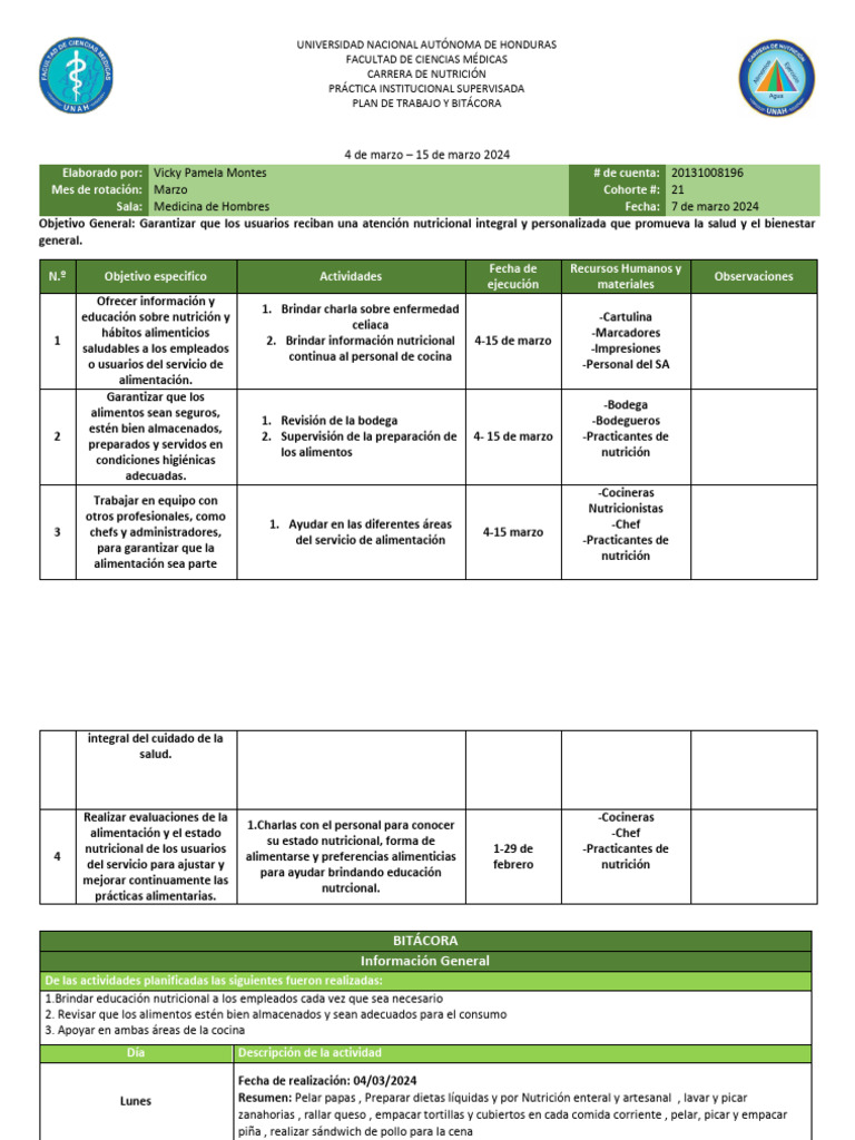 Plan de Trabajo Nutrición UNAH 2024 | PDF | Alimentos | Nutrición