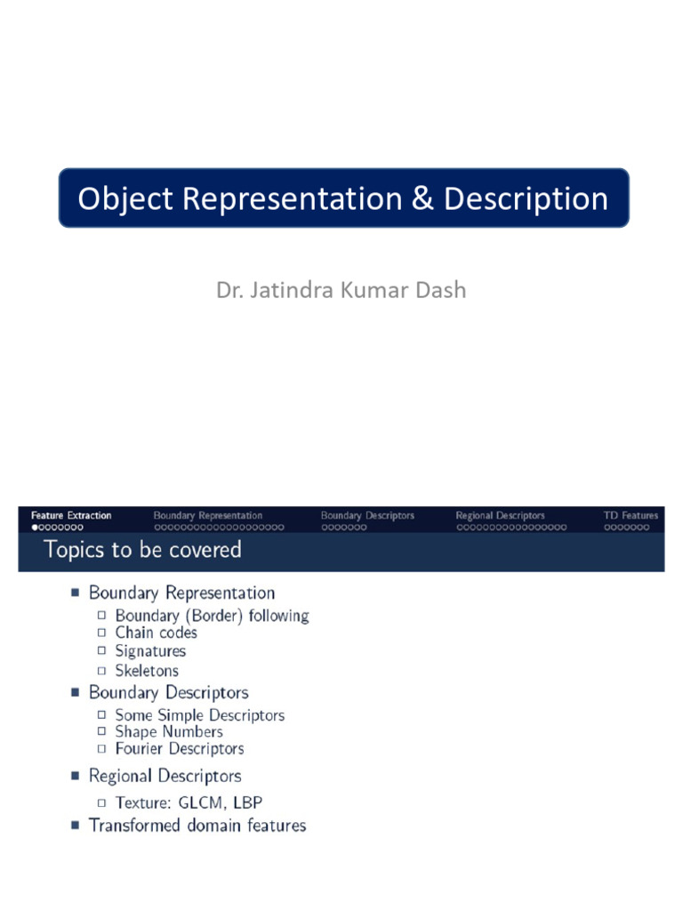 Resampling Techniques in Object Representation | PDF