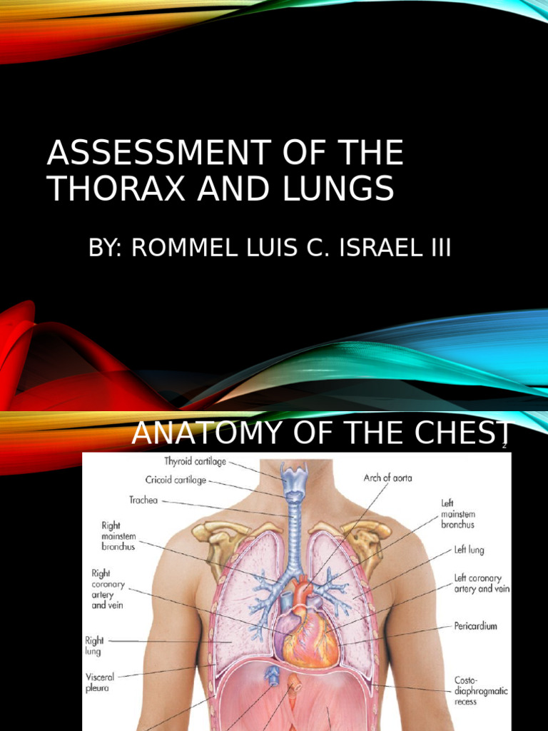 Thorax and Lung Anatomy Assessment | PDF | Thorax | Breathing