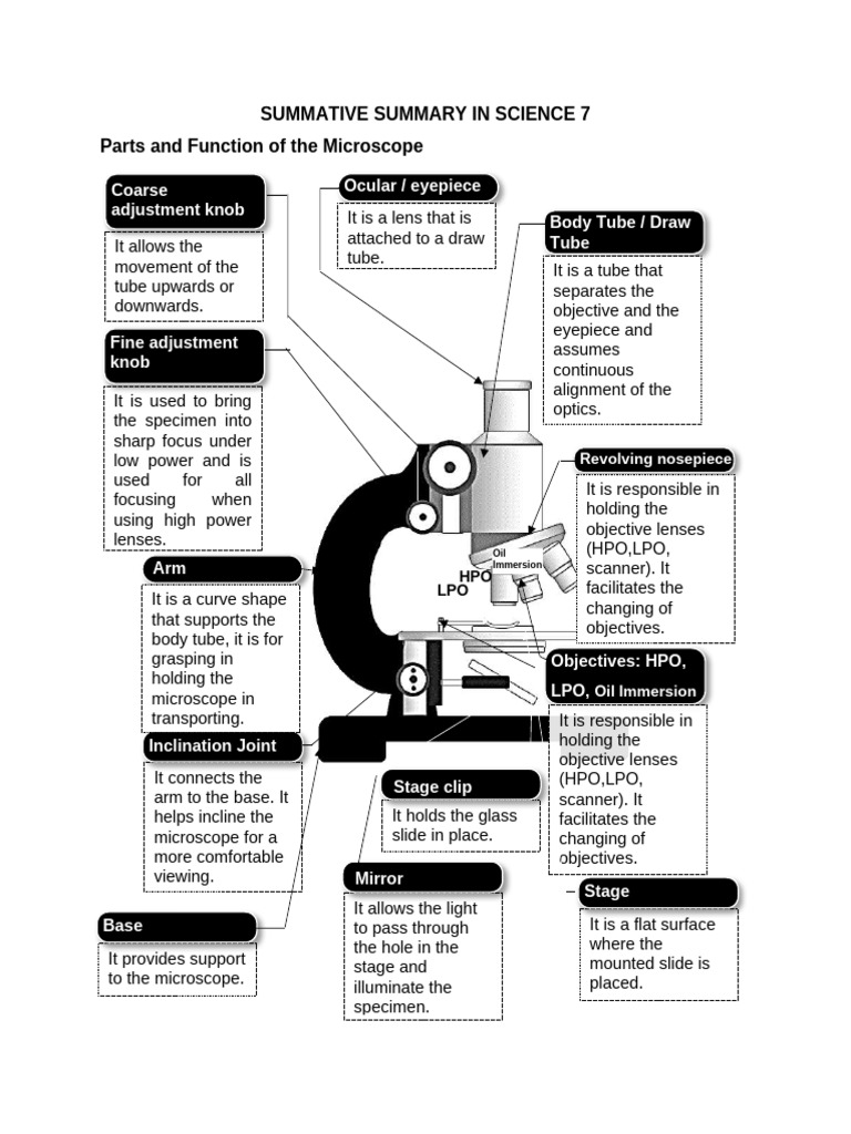 Summative Summary in Science 7 | PDF | Egg | Fertilisation