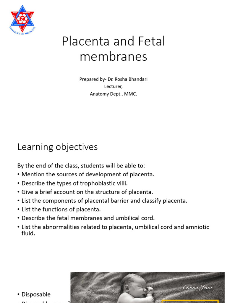 Placenta and Fetal Membranes | PDF | Placenta | Fetus