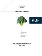 Download MAKALAH TANAMAN BROKOLI by Yayat Ruhyat SN82140183 doc pdf