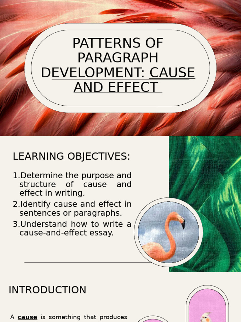 7 Cause And Effect Pdf Causality Earthquakes