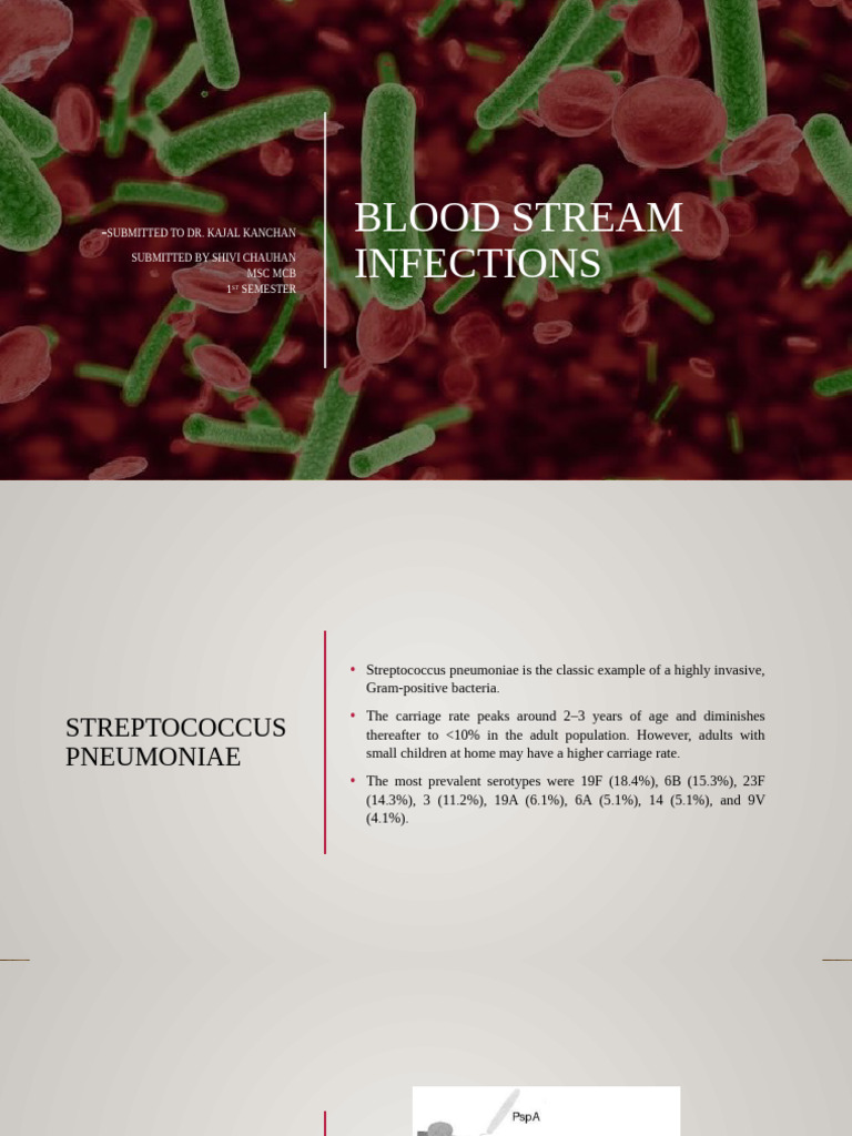 Blood Stream Infections | PDF