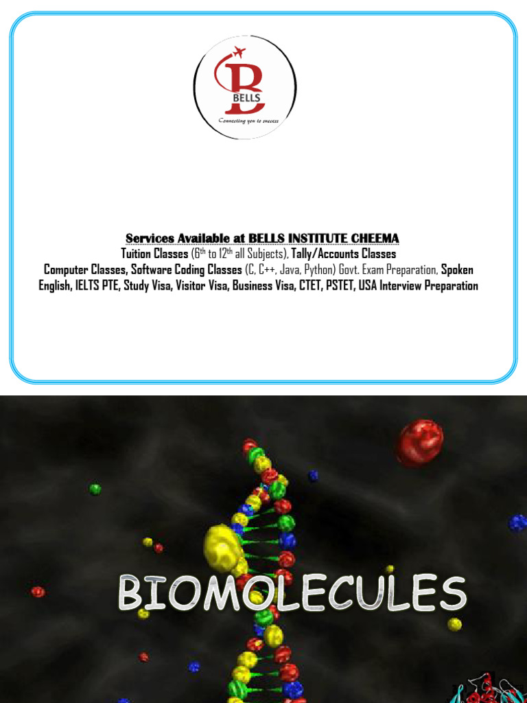 Understanding Biomolecules and Their Functions | PDF | Enzyme | Nucleotides