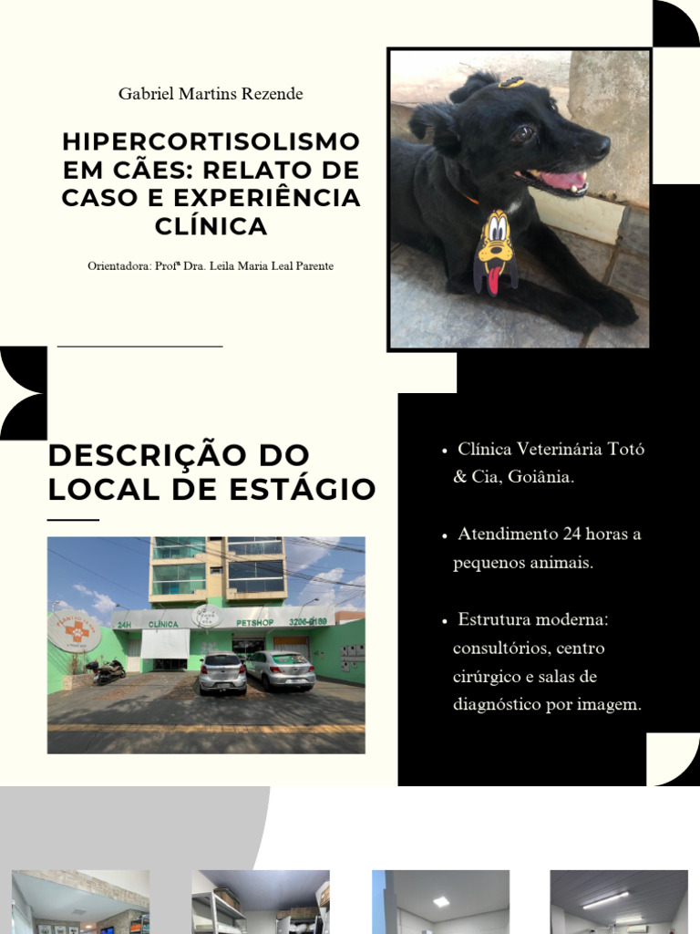 RELATO DE CASO - final | PDF | Medicina Veterinária | Remédio