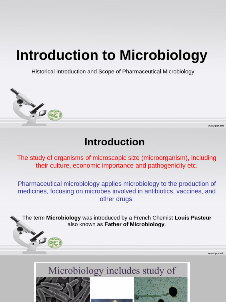 PHMD202 Introduction To Microbiology 157707 | PDF | Microbiology ...