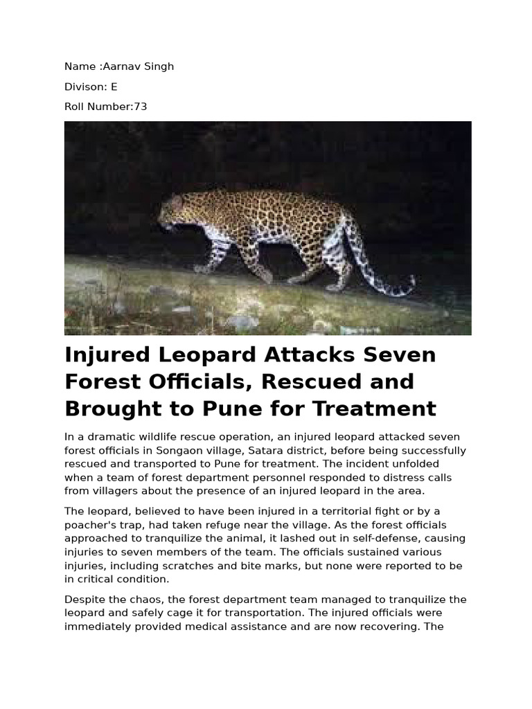 Leopard Rescue in Satara Village | PDF