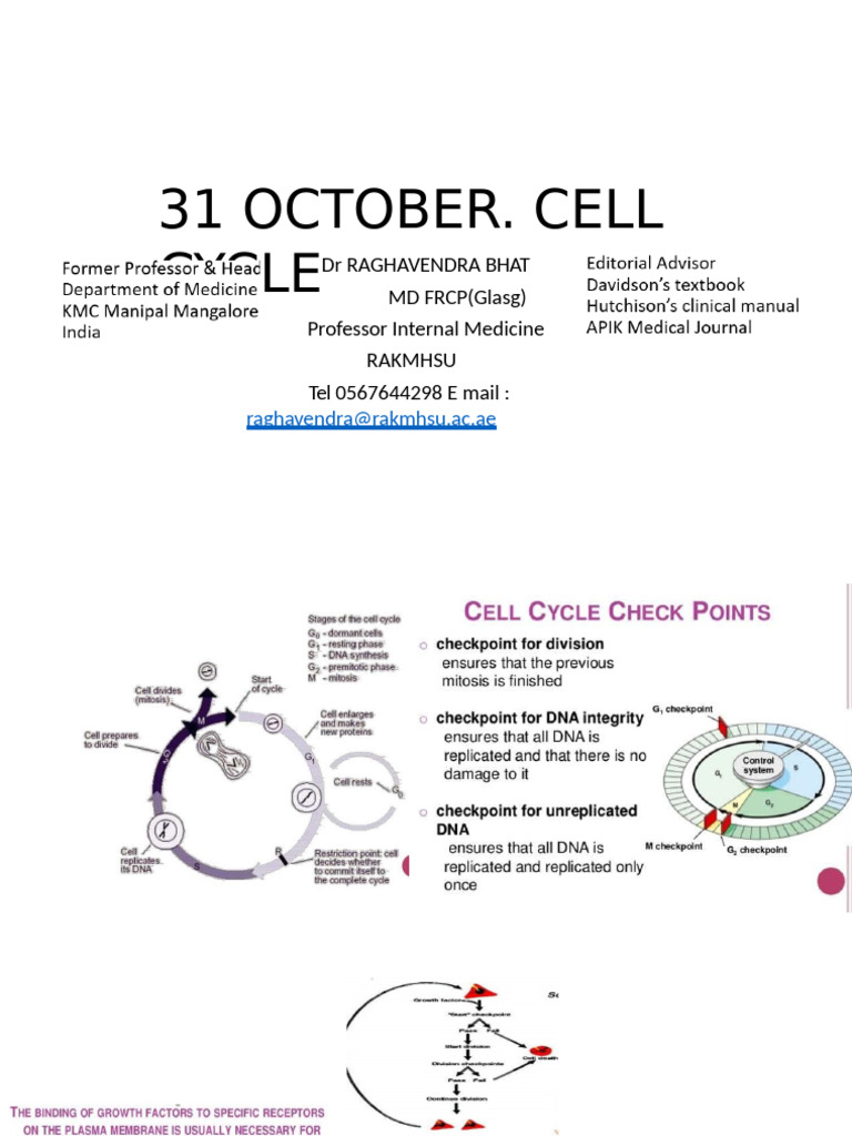 31 October Cell Cycle | PDF