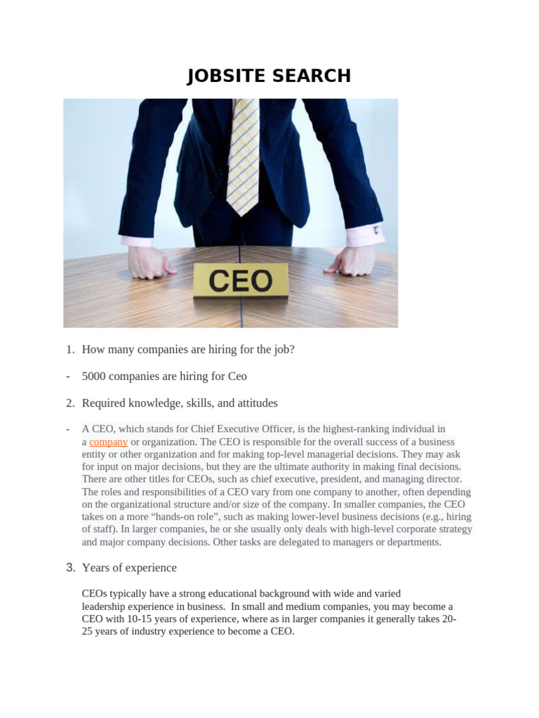 CEO Job Requirements and Insights | PDF