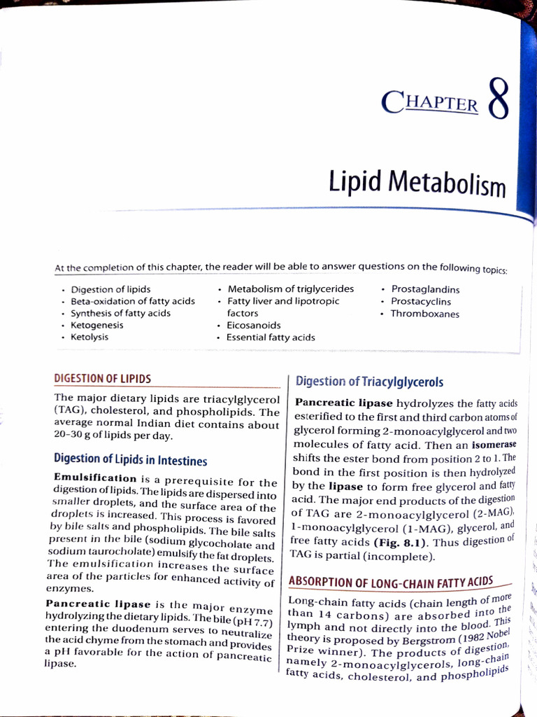 Lipid Digestion and Metabolism Overview | PDF | Adenosine Triphosphate ...