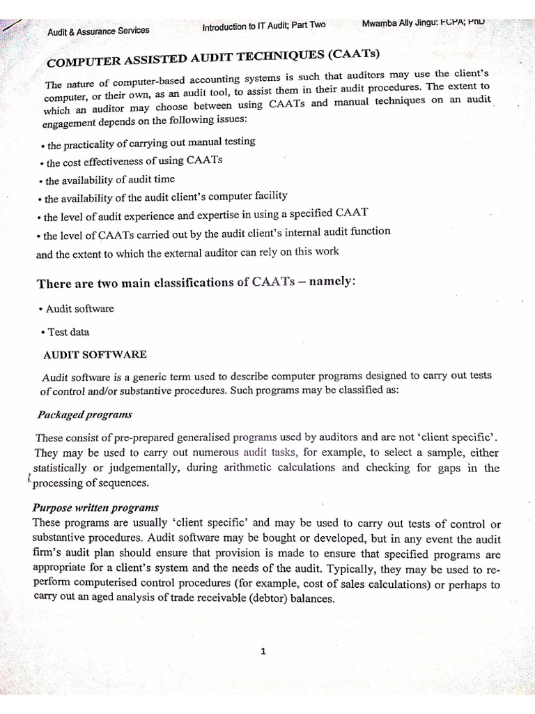 CAATs | PDF