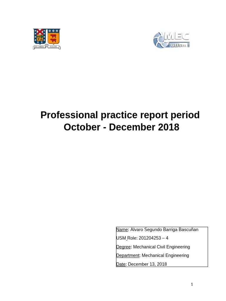 Professional Practice Report: Mechanical Engineering | PDF | Bearing ...